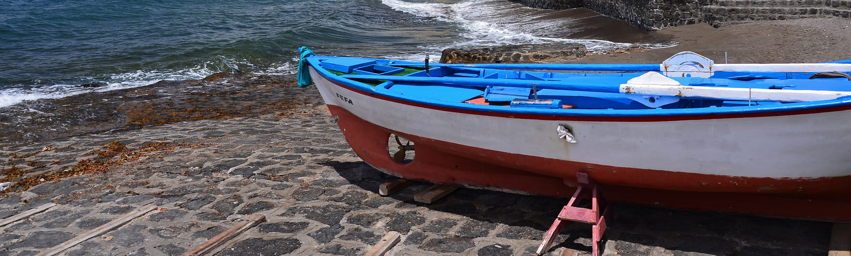 Vive la Pesca Artesanal