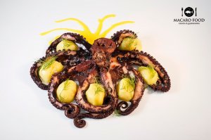 atlas-pulpo-tomasanchez