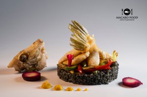 atlas-gallitoverde-marcosgutierrez