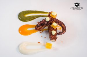 atlas-pulpo-davidperez