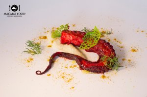 atlas-pulpo-pietroepifani
